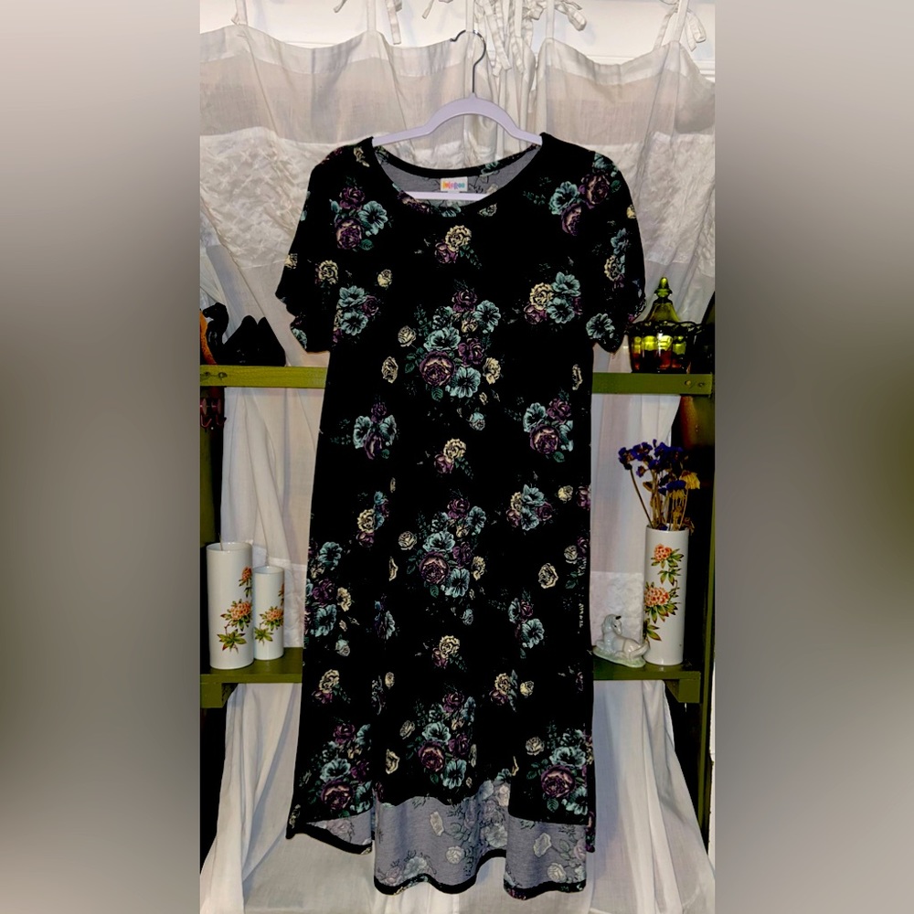 Lularoe- Floral Carly Dress